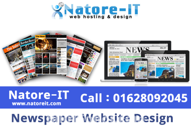 Newspaper Website Design